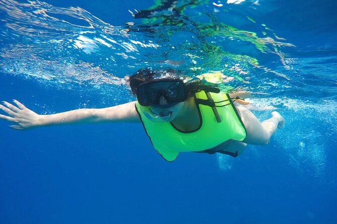 Barbados Shore Excursion: Carlisle Bay Turtle & Shipwreck - Activity Requirements and Capacity