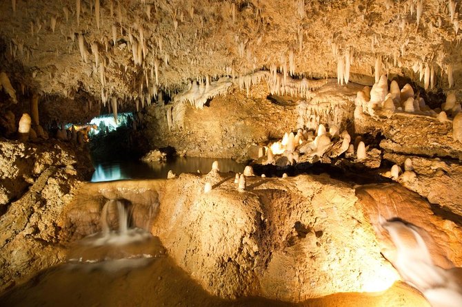 Barbados Shore Excursion Harrisons Cave Tour and Turtle and Shipwreck Cruise - About Your Stay