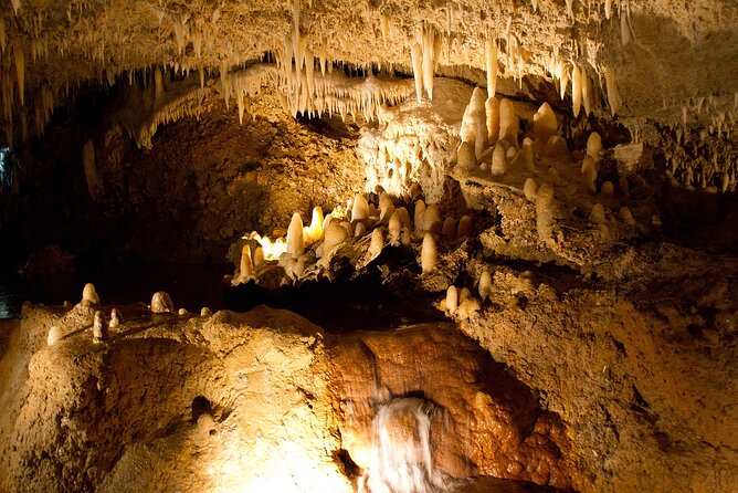 Barbados Shore Excursion: Harrisons Cave Tour - Tour Inclusions and Details