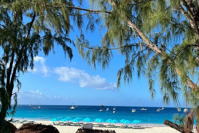 Barbados Shore Excursion Snorkel cruise and Beach Day - Authentic Experiences and Real Traveler Feedback
