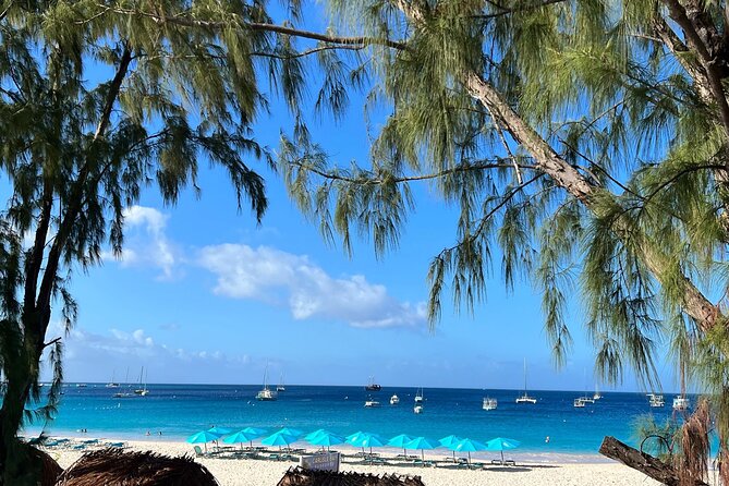 Barbados Shore Excursion Snorkel Cruise and Beach Day - Physical Requirements