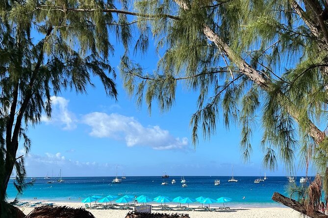 Barbados Shore Excursion: Wildlife Encounter and Beach Day - Transportation and Pickup Details