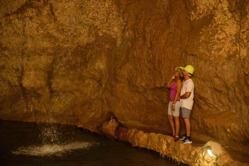 Barbados: Signature Park Pass & Gully Challenge Adventure - Who Is This Tour Best For?
