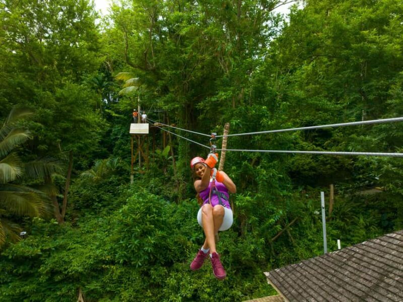 Barbados: Signature Park Pass & Monkey Zip Experience - Key Points