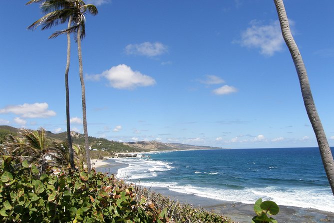 Barbados Small-Group or Private Coastal Sightseeing Tour - Pickup Information