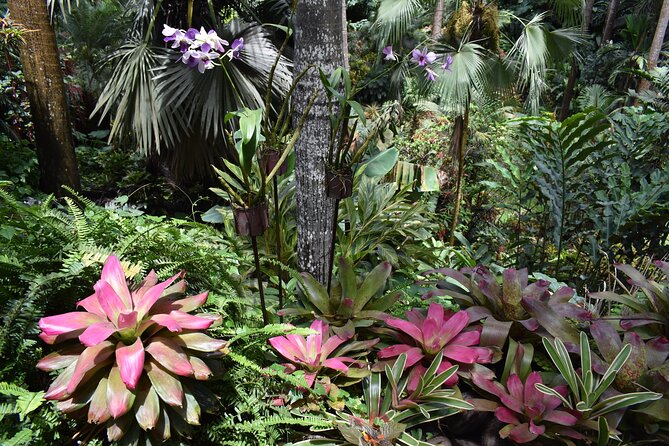 Barbados Small Group or Private: Harrisons Cave, Gardens and St Nicholas Abbey - Bathsheba Beach and Morgan Lewis Windmill