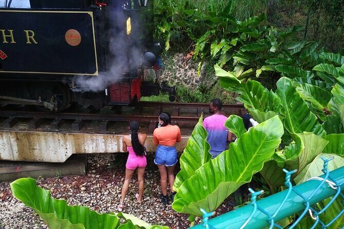 Barbados through the eyes of a local - Who Will Love This Tour?