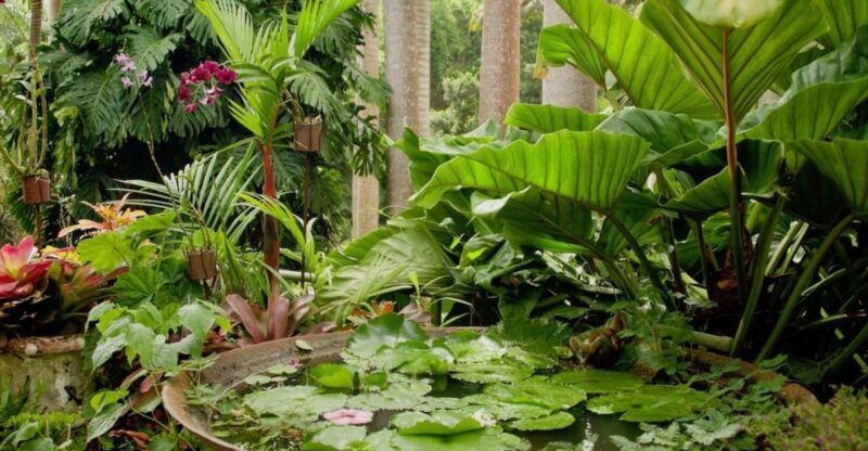 Barbados: Tour of Harrisons Cave & Huntes Gardens - Key Points