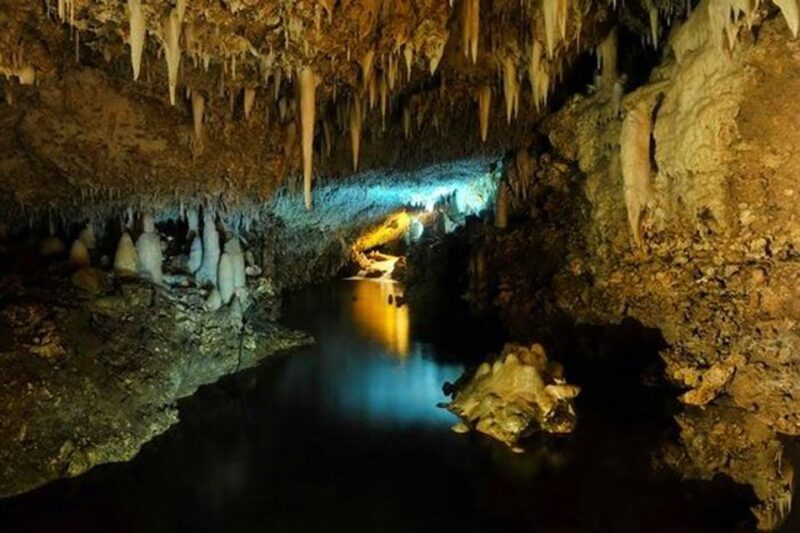 Barbados: Tour of Harrisons Cave & Huntes Gardens - Availability and Suitability