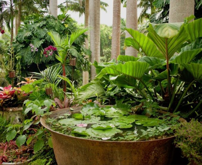 Barbados: Tour of Harrisons Cave & Huntes Gardens - Scenic Views and Refreshments