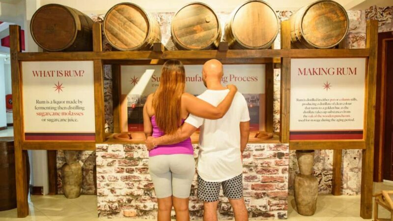 Barbados: Trail, Tram & Rum Experience - Key Points