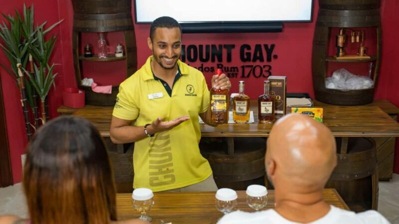 Barbados: Trail, Tram & Rum Experience - An Overview of the Experience
