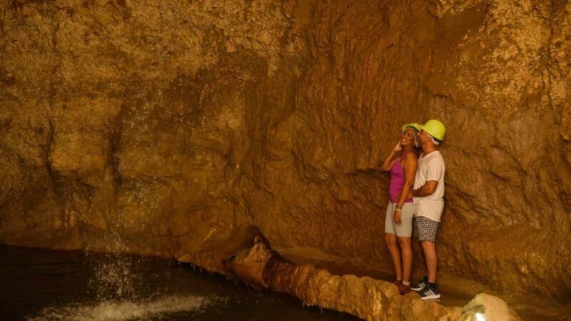 Barbados: Trail, Tram & Rum Experience - What Travelers Say