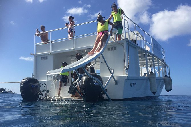 Barbados Turtle and Shipwreck Snorkel Adventure - Snorkeling Experience