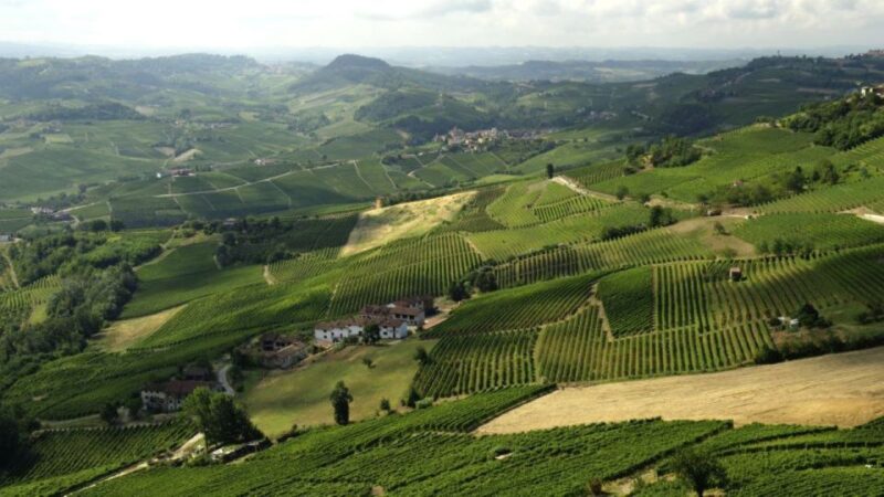 Barbaresco: E-Bike Tour of Piedmont Wineries With Tastings - Key Points