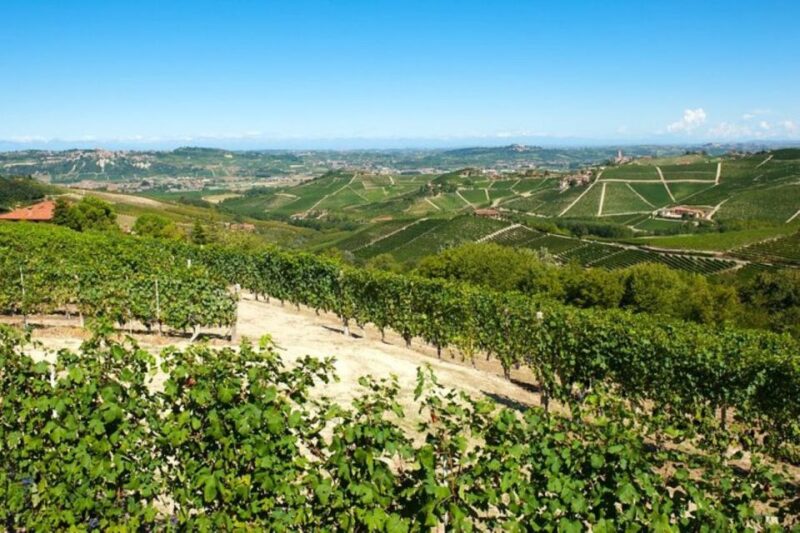Barbaresco: E-Bike Tour of Piedmont Wineries With Tastings - Itinerary Highlights