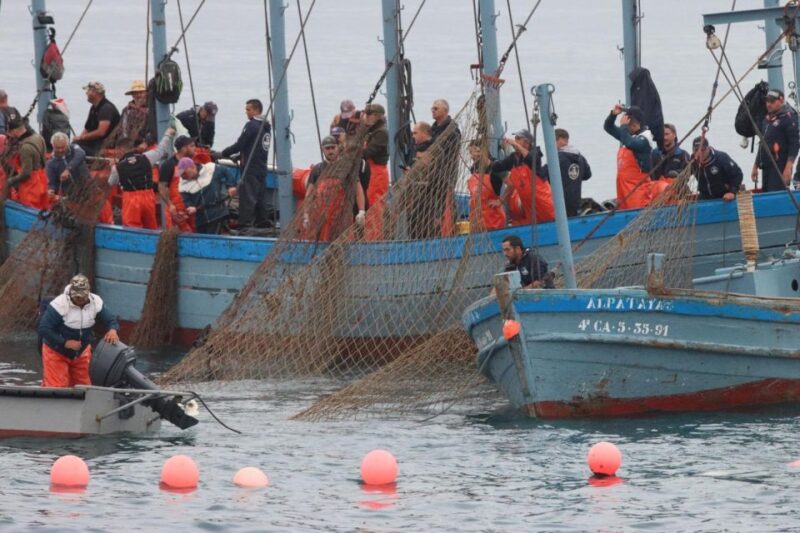 Barbate: Boat Tour to the Almadraba of Conil (Tuna Fishing) - Key Points