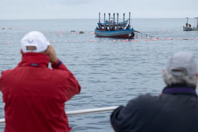 Barbate: Boat Tour to the Almadraba of Conil (Tuna Fishing) - Highlights of the Tuna Fishing Experience