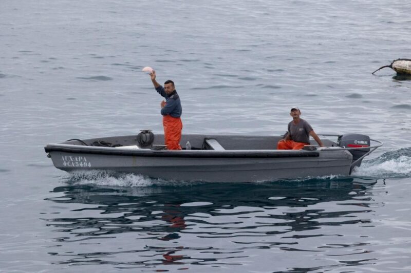 Barbate: Boat Tour to the Almadraba of Conil (Tuna Fishing) - Included in the Tour Package