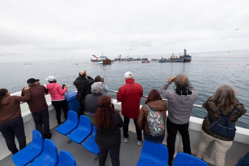 Barbate: Boat Tour to the Almadraba of Conil (Tuna Fishing) - Important Booking Considerations