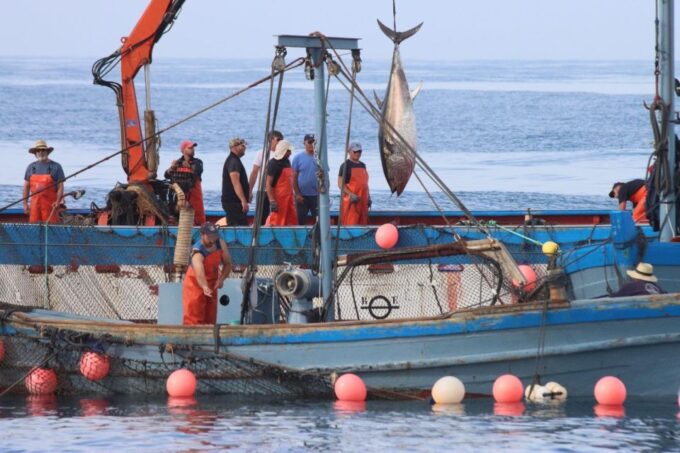 Barbate: Boat Tour to the Almadraba of Conil (Tuna Fishing) - Cancellation Policy Details