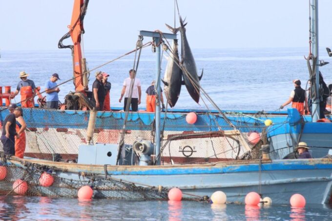 Barbate: Boat Tour to the Almadraba of Conil (Tuna Fishing) - Getting to the Barbate Marina