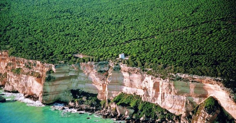 Barbate: La Breña Natural Park and Cape Trafalgar Boat Trip - Highlights of the Tour