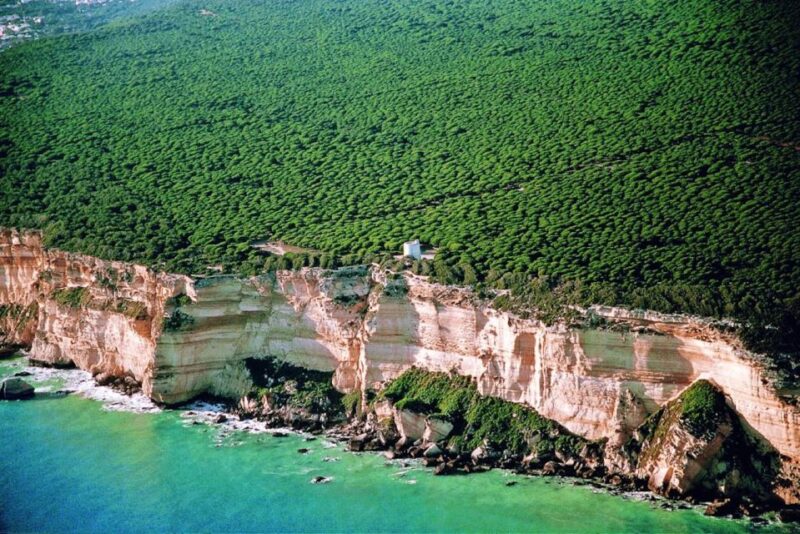 Barbate: La Breña Natural Park and Cape Trafalgar Boat Trip - Booking and Cancellation Policy