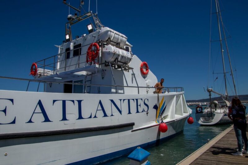 Barbate: Sunset Cruise With Glass of Cava - Experience Highlights