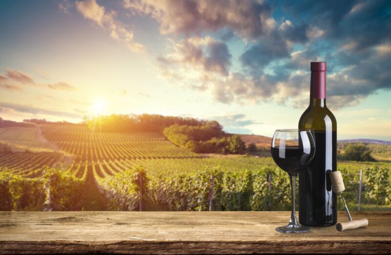 Barberino Tavarnelle: Wine Tasting and Dinner in Chianti - Wine Tasting Experience