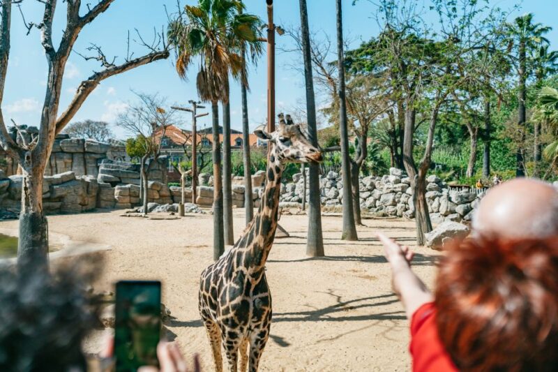 Barcelona: 1-Day Ticket to Barcelona Zoo - Educational Activities and Experiences