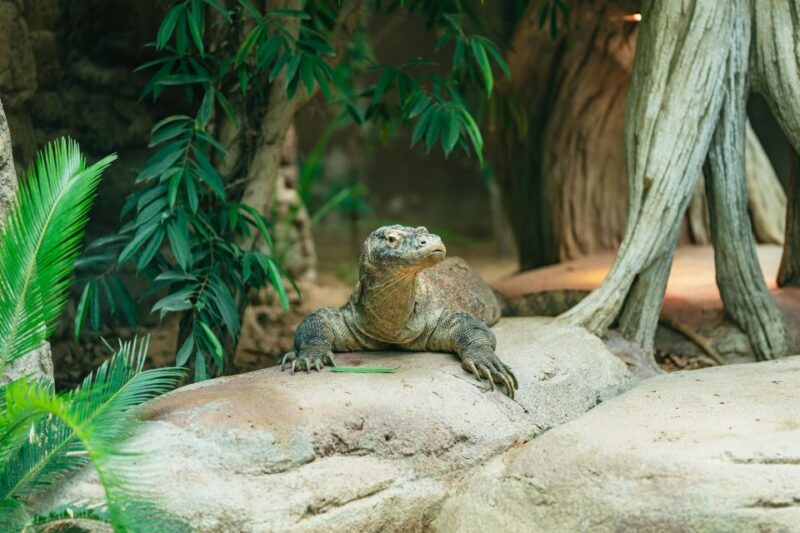 Barcelona: 1-Day Ticket to Barcelona Zoo - Family-Friendly Amenities