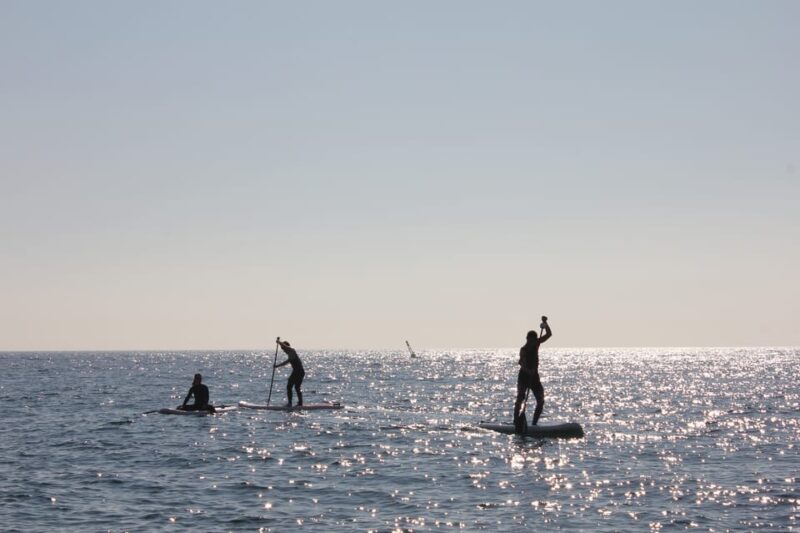 Barcelona 1-Hour Paddle Surfing - What to Expect