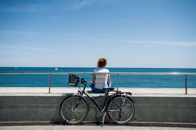 Barcelona 3-Hour Highlights Bike Tour (Private Tour) - Tour Overview
