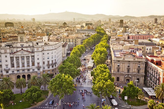 Barcelona Airport BCN Round-Trip Transfer in Private Van - Accessibility and Recommendations
