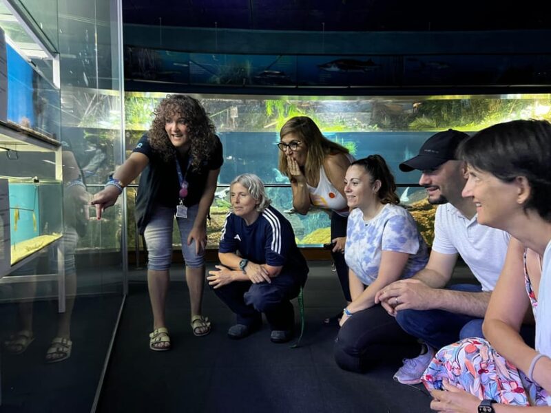 Barcelona Aquarium: Guided Tour With Exclusive Early Access - Immersive Tunnel and Marine Species