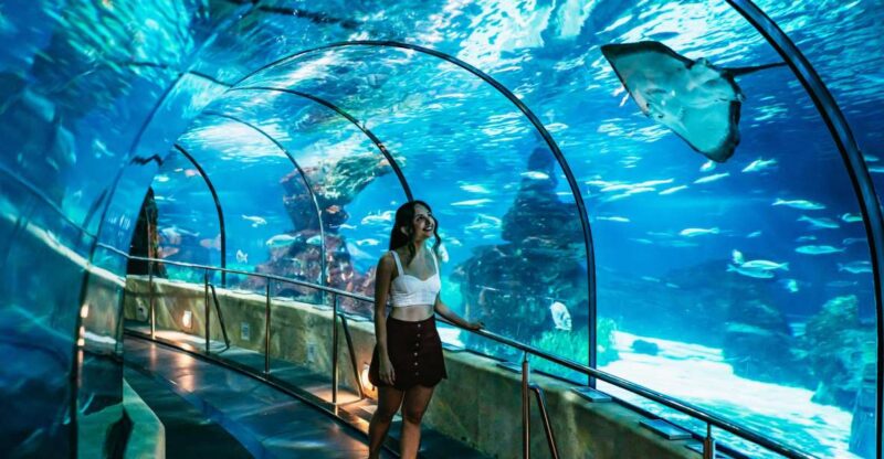 Barcelona Aquarium: Skip-the-Line Admission Ticket - Aquarium Overview