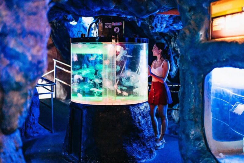 Barcelona Aquarium: Skip-the-Line Admission Ticket - Oceanarium Highlights