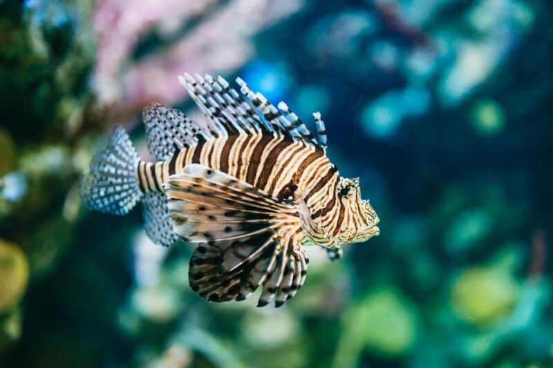 Barcelona Aquarium: Skip-the-Line Admission Ticket - Species Diversity