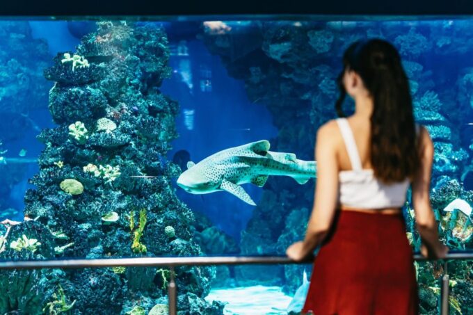 Barcelona Aquarium: Skip-the-Line Admission Ticket - Booking and Cancellation Policy