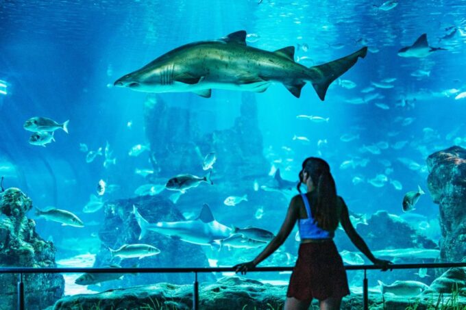 Barcelona Aquarium: Skip-the-Line Admission Ticket - Frequently Asked Questions