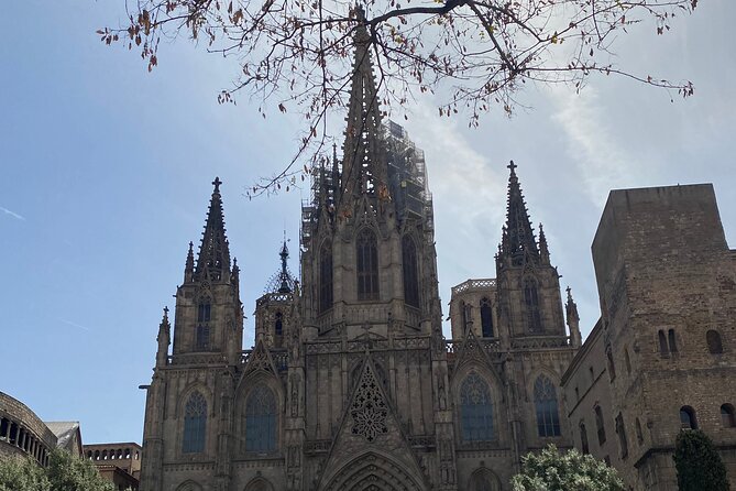 Barcelona: Bar Crawl at Gaixample - Booking and Cancellation Policy