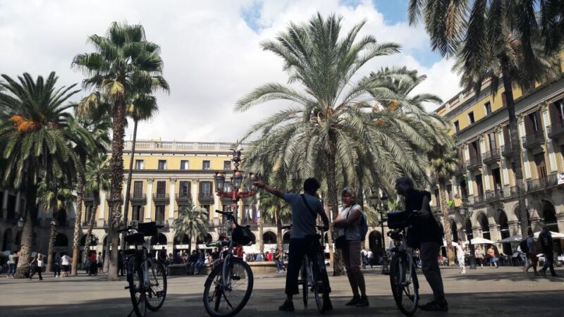 Barcelona: Bike Rental With Delivery and Pickup - Bike Options and Delivery