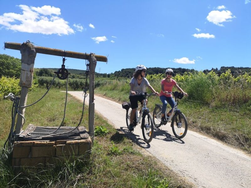 Barcelona: Bike & Wine Guided Tour - Penedès Vineyards - Tour Highlights
