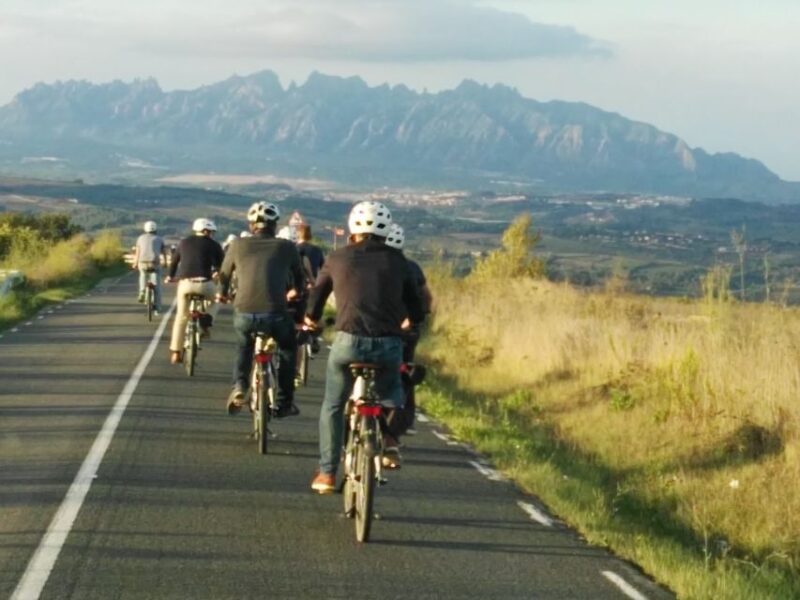 Barcelona: Bike & Wine Guided Tour - Penedès Vineyards - Inclusions