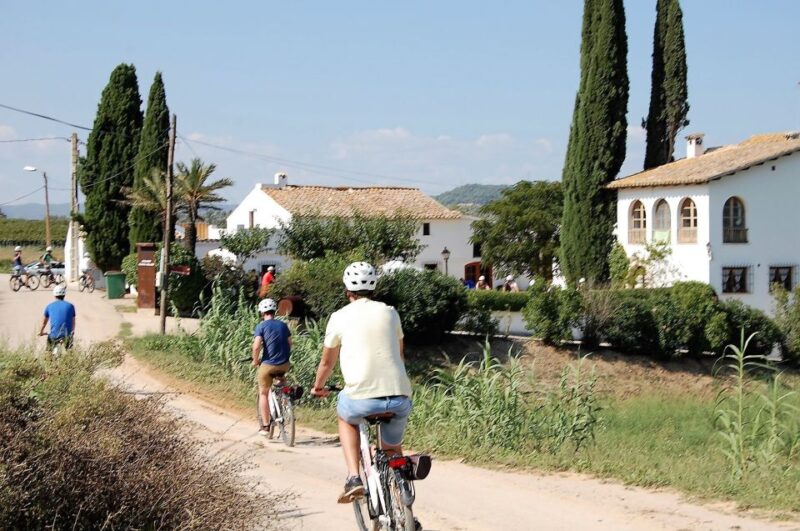 Barcelona: Bike & Wine Guided Tour - Penedès Vineyards - Participant Requirements