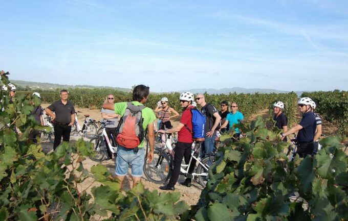 Barcelona: Bike & Wine Guided Tour - Penedès Vineyards - Winery Visit and Tastings
