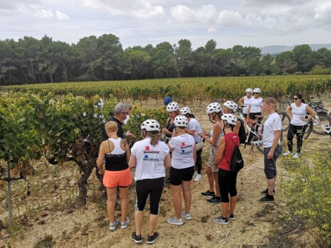 Barcelona: Bike & Wine Guided Tour - Penedès Vineyards - Purchasing Wines