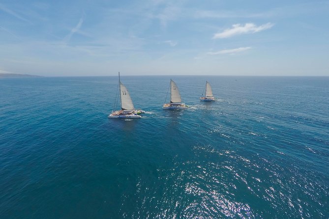 Barcelona Catamaran Party Tour For Young People - Inclusions and Amenities