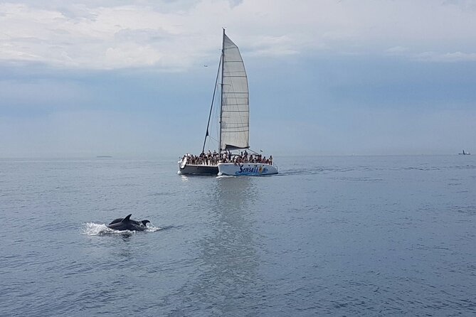 Barcelona Catamaran Party Tour For Young People - Customer Feedback and Ratings